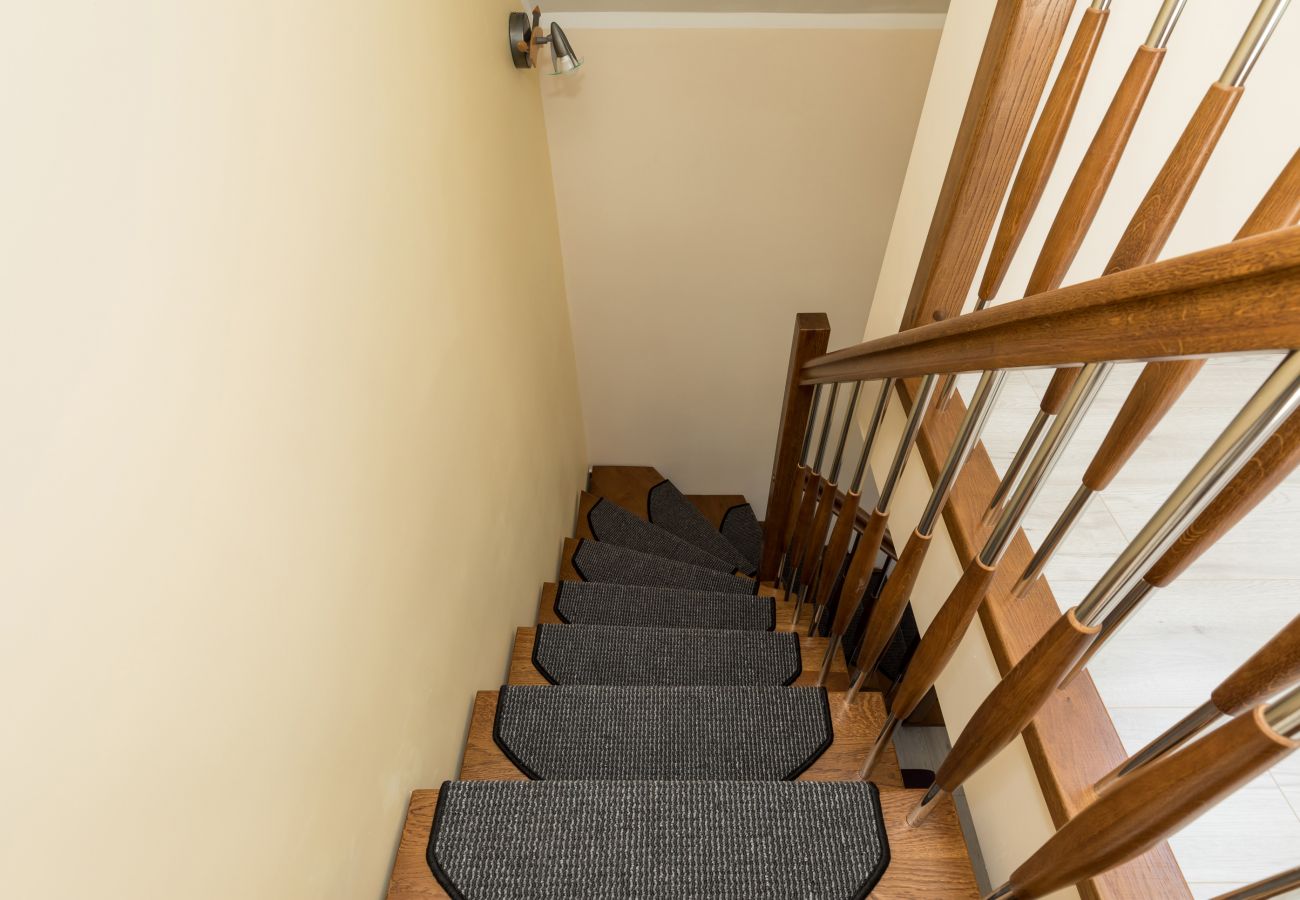 stairs, rug