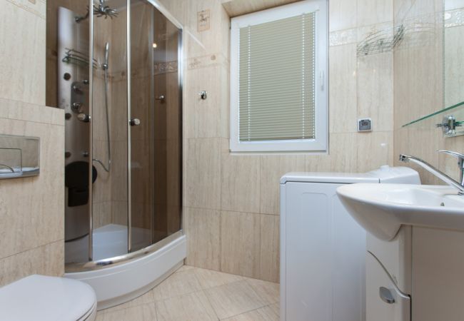 shower, toilet, washbasin, mirror