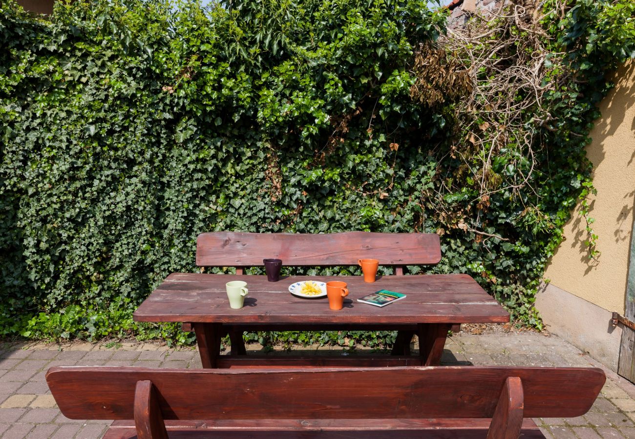 garden, terrace, barbecue, bench