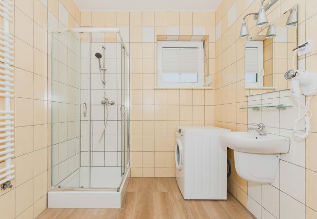bathroom, shower, mirror, hair dryer, washbasin, rent
