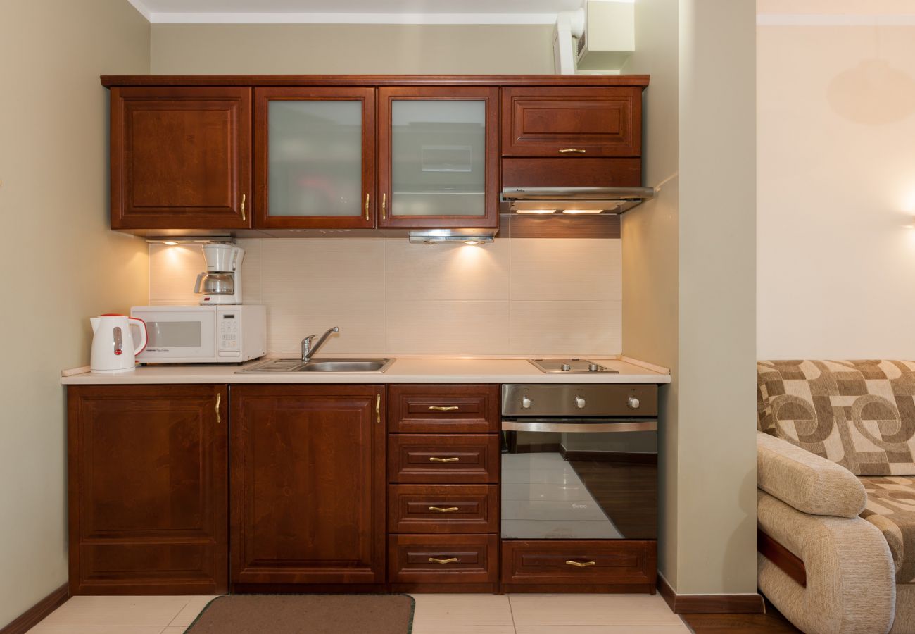 kitchen cabinets, oven, sink, microwave, rental