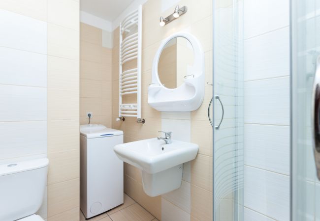 rental, shower, washbasin, mirror, washing machine