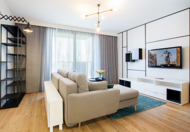 living room, sofa, coffee table, dining area, tv, apartment interior, apartment, interior, rent