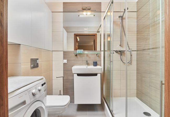 bathroom, shower, sink, toilet, mirror, washing machine, apartment, interior, rent