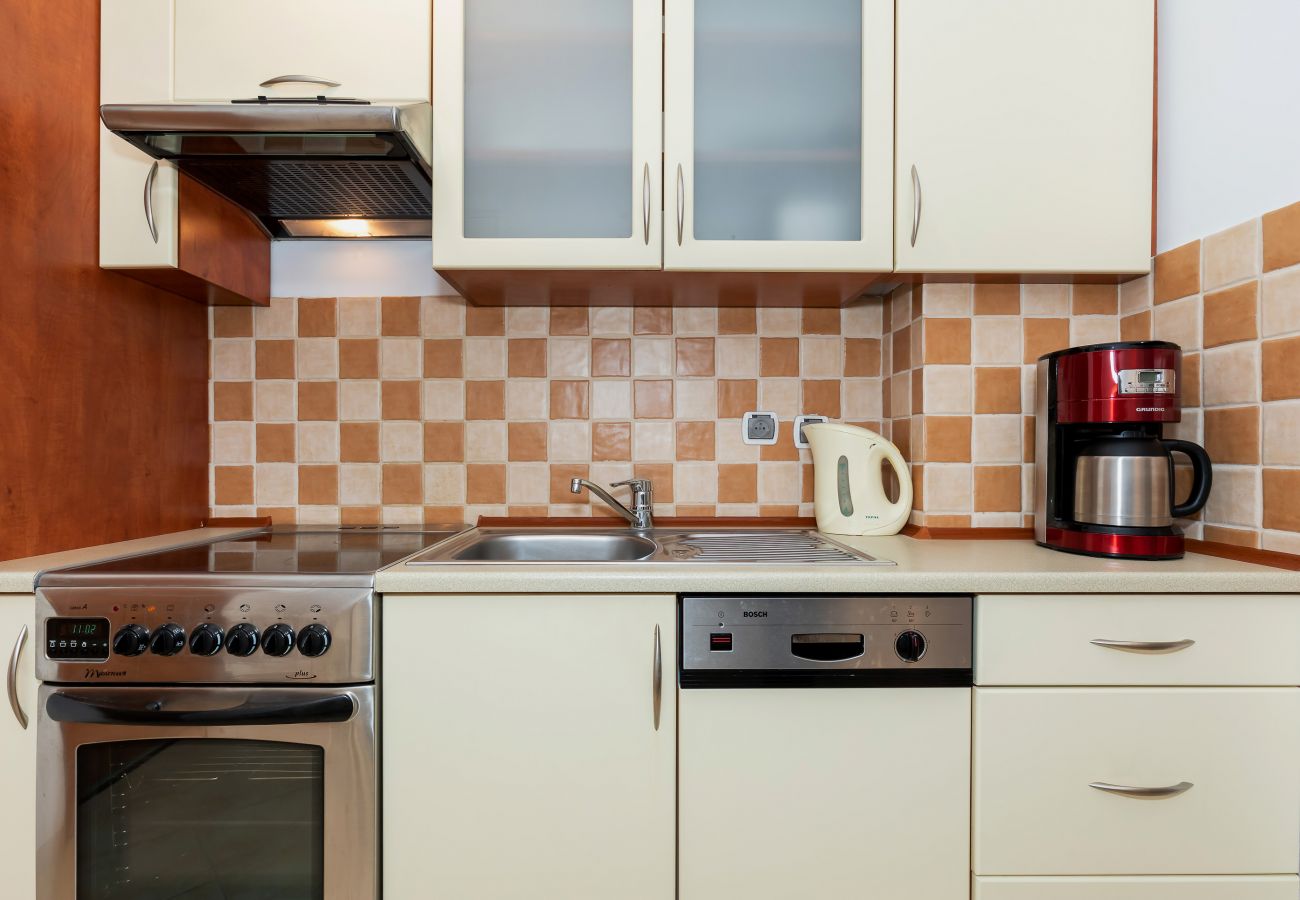 kitchen, kitchenette, stove, oven, cupboards, kettle, coffee machine, microwave, dishwasher, fridge, apartment, interior, rent