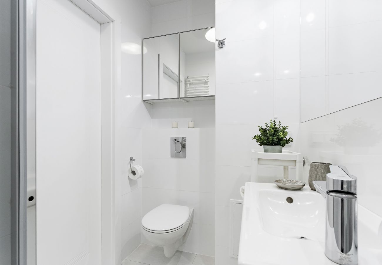 bathroom, shower, sink, toilet, mirror, towels, apartment, apartment interior, interior, rent