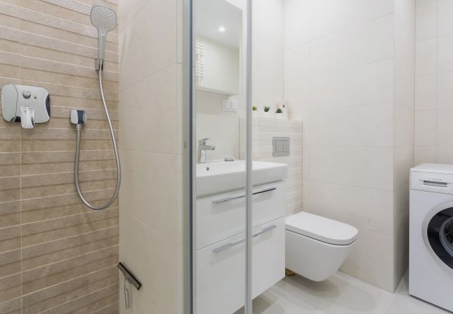 bathroom, shower, sink, toilet, bathroom cabinet, washing machine, towels, apartment, interior, rent