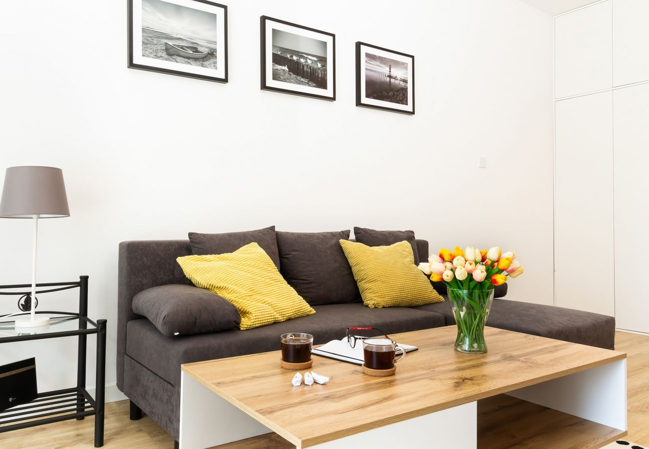 living room, sofa, coffee table, tv, kitchenette, apartment, interior, rent