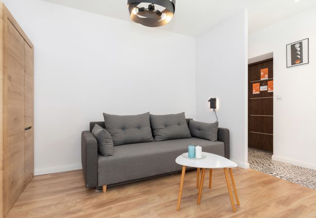 living room, sofa, coffee table, wardrobe, tv, apartment, interior, rent