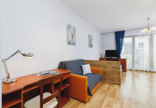 living room, sofa, coffee table, double bed, tv, wardrobe, armchair, apartment, interior, rent