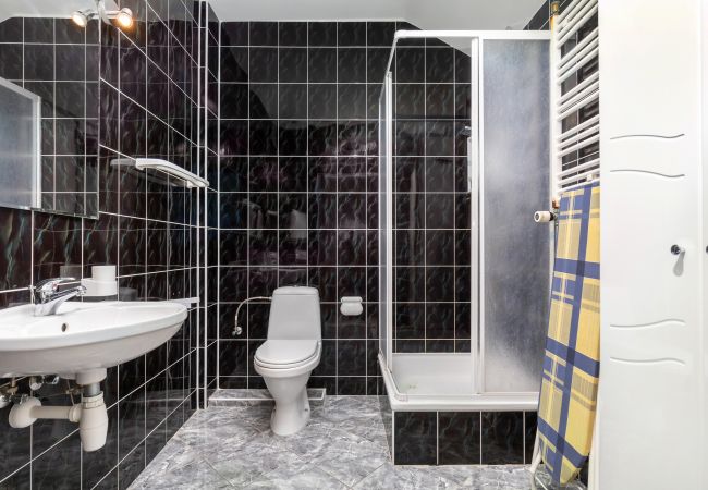 bathroom, shower, sink, toiler, mirror, towels, studio, interior, rent