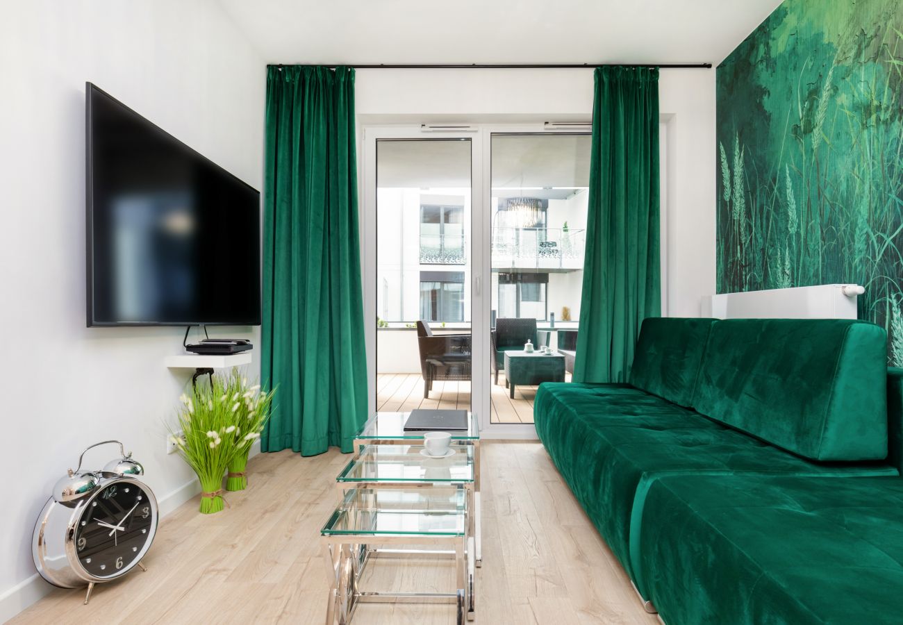 living room, sofa, coffee table, TV, apartment, interior, rental
