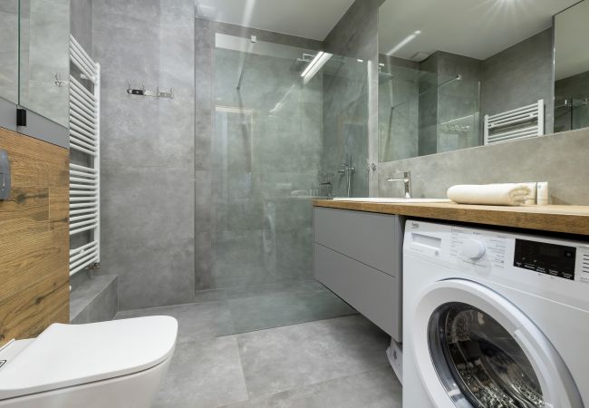 bathroom, shower, sink, toilet, mirror, washing machine, towels, apartment, interior, rent