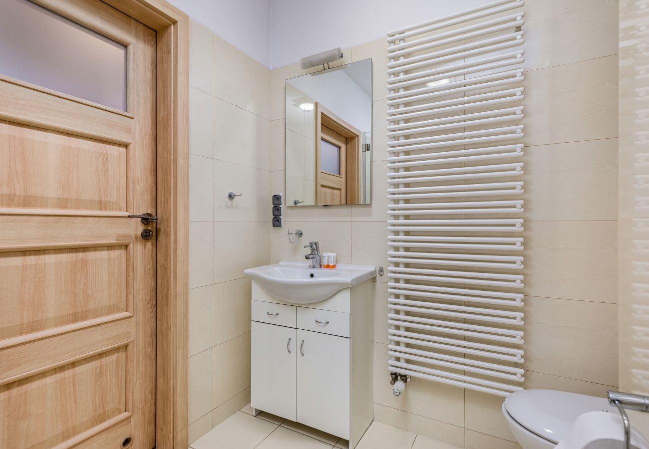 apartment, rent, accomodation, interior, bathroom, shower, sink, mirror, toilet