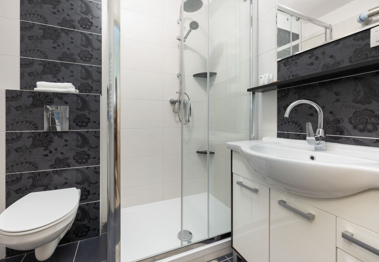 bathroom, shower, sink, toilet, mirror, apartment, interior, rent, accomodation